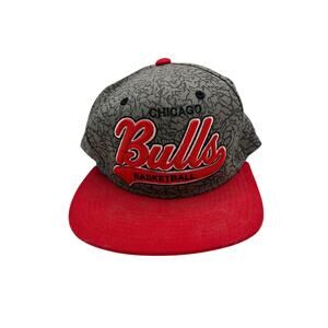 Chicago Bulls Mitchell & Ness Snapback Hat Men's Red Gray Elephant Print